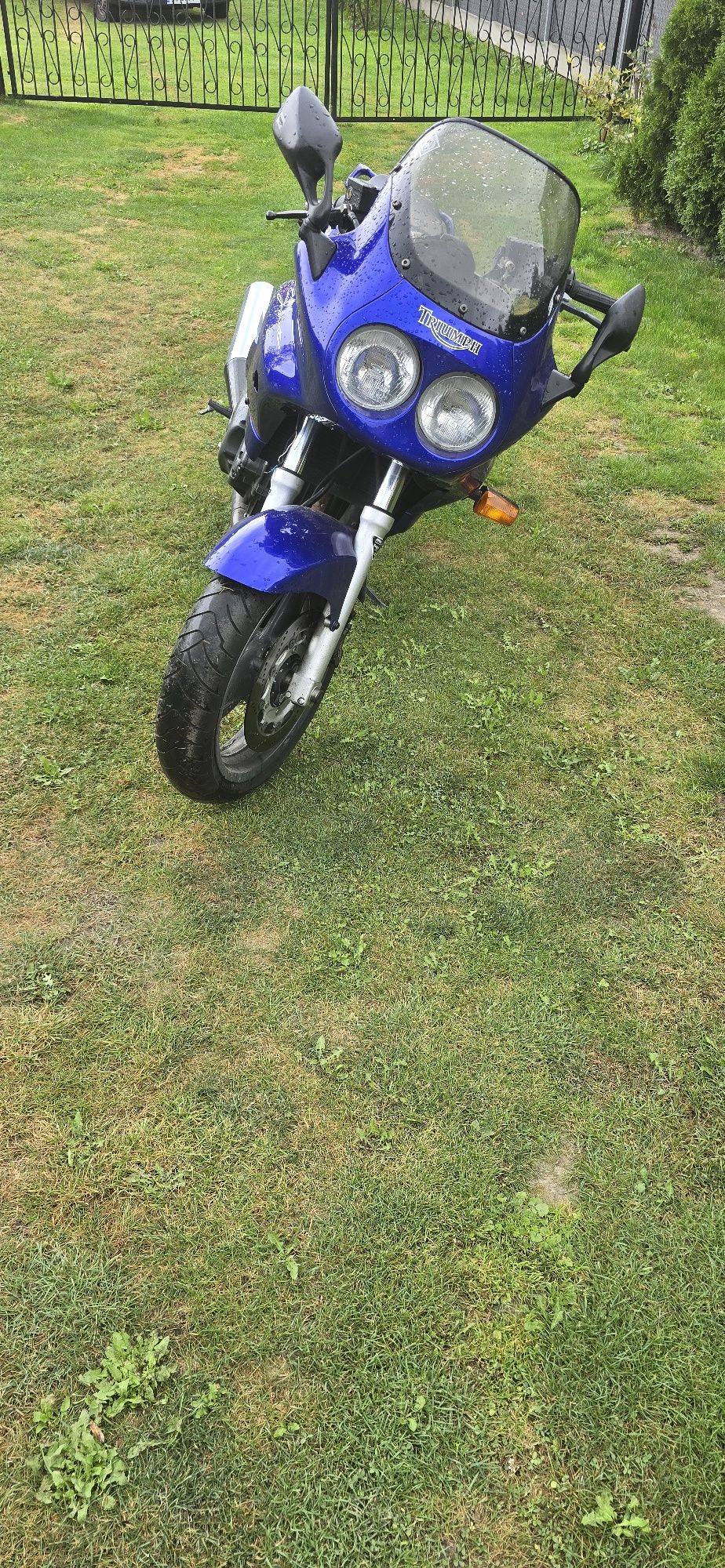 Triumph Sprint 1000