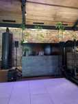 Animaçao de eventos Dj