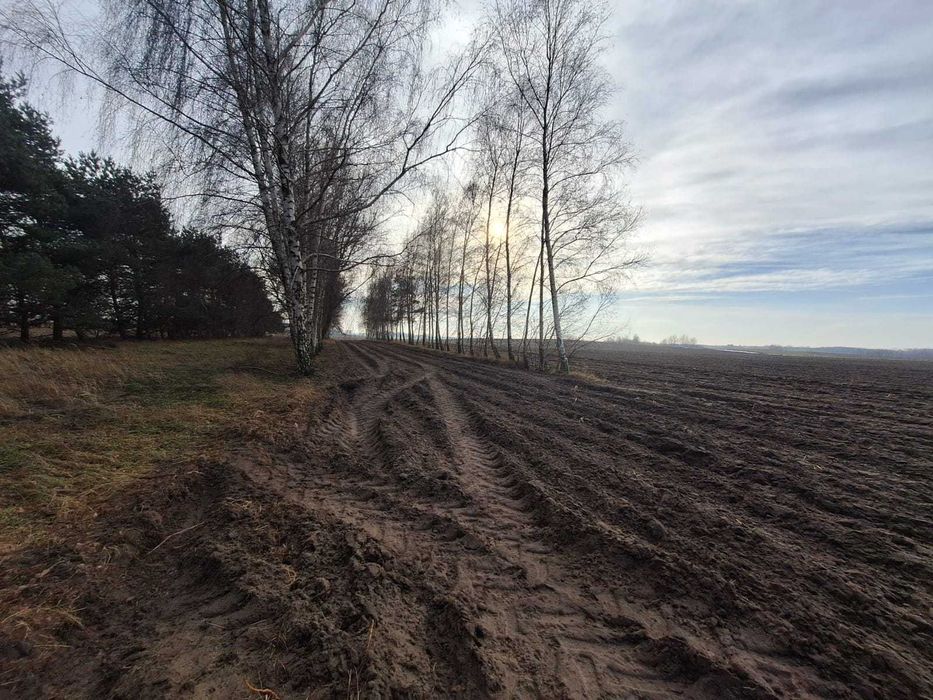 Działka rolna idealna na siedlisko