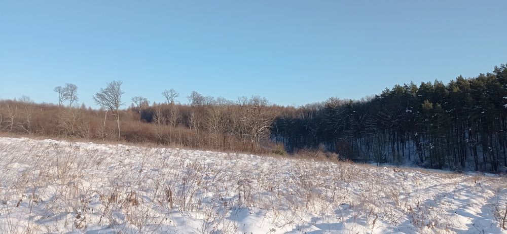 Ділянка 10сот.с.Селисько 14км.до м.Львів Солонківське ОТГ