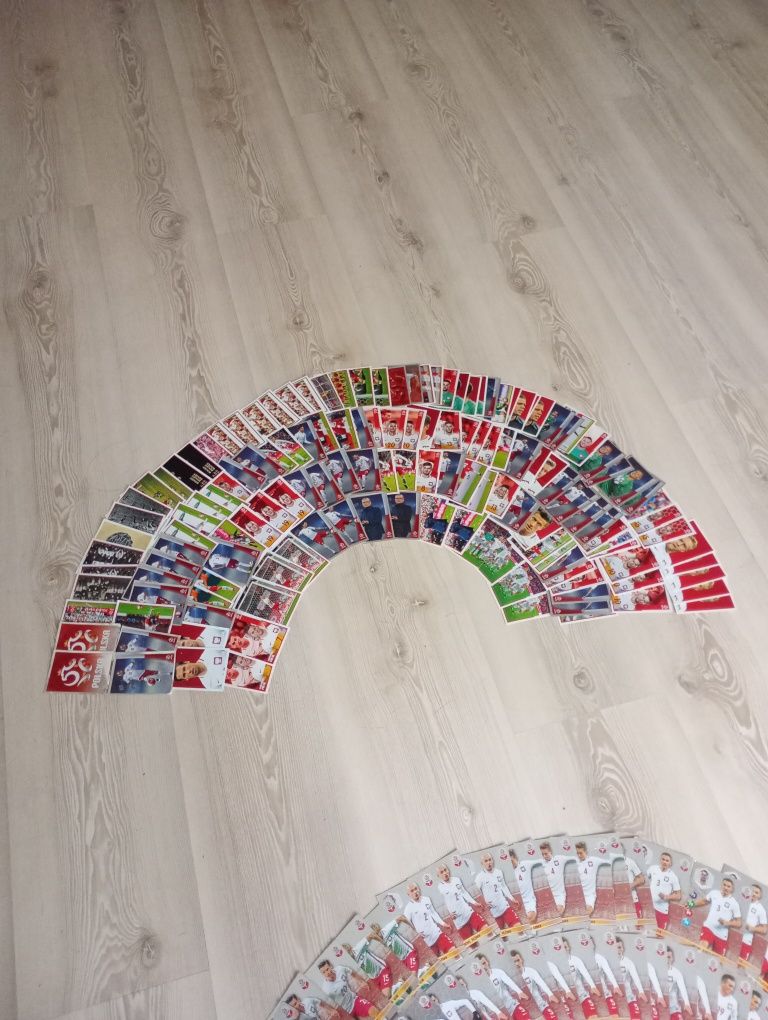 Dumni z naszych naklejki + karty