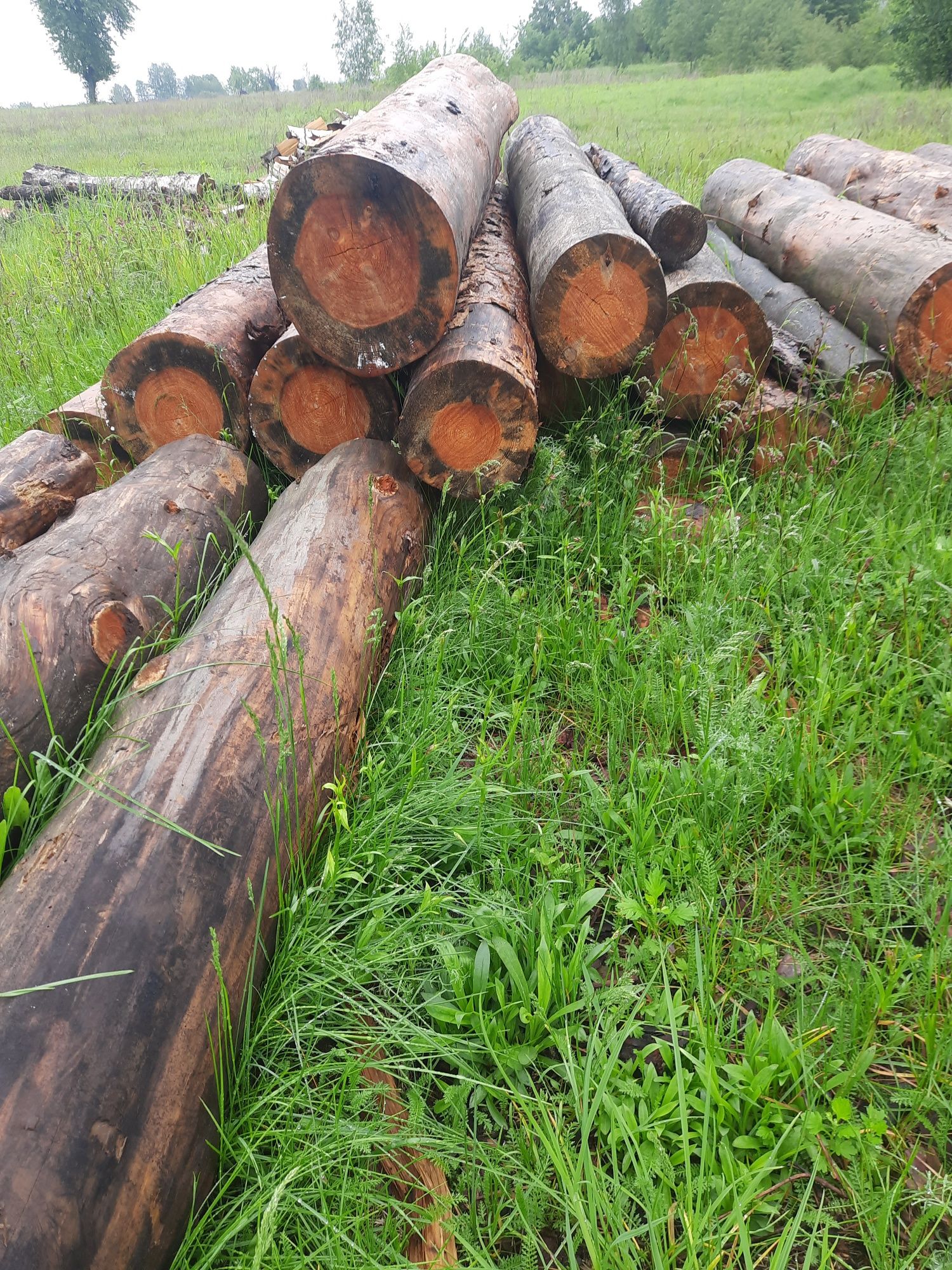 Продам дрова рівненьська область