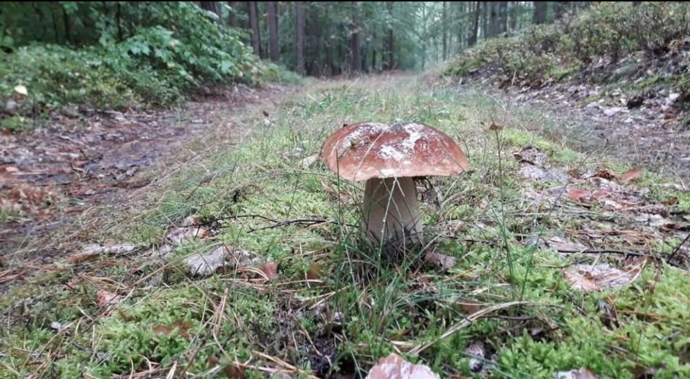 Agroturystyka Słonów