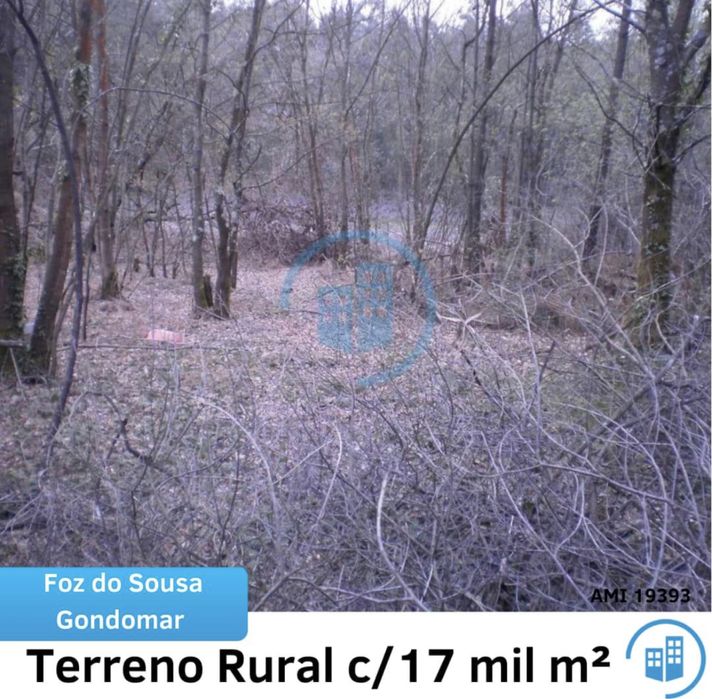 Vendo ou alugo terreno 17000m2