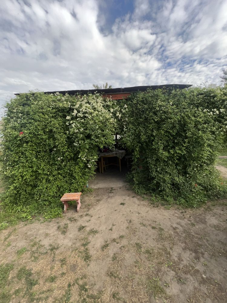 Продам дом в Баловке