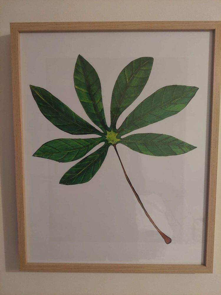 Plakat liścia manioku jadalnego z ramką