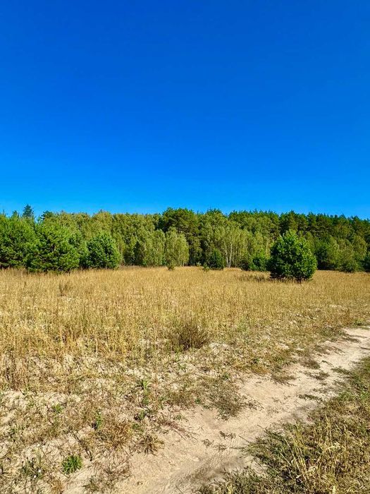 Земельна ділянка біля ЛІСУ! с. Рижики, Хмільницька с.р A11