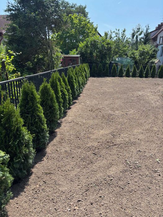 Usługi ogrodnicze Szczecin - Cięcie drzew, budowa ogrodów, pielęgnacja