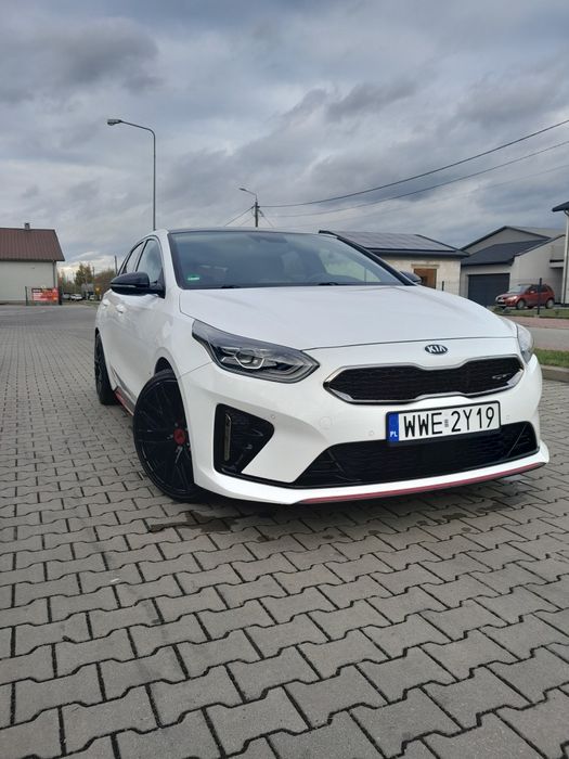 Kia proceed gt line panorama 204 konie