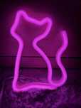 Nowy neon    kot