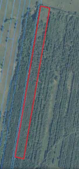 las Kapkazy 2,86ha