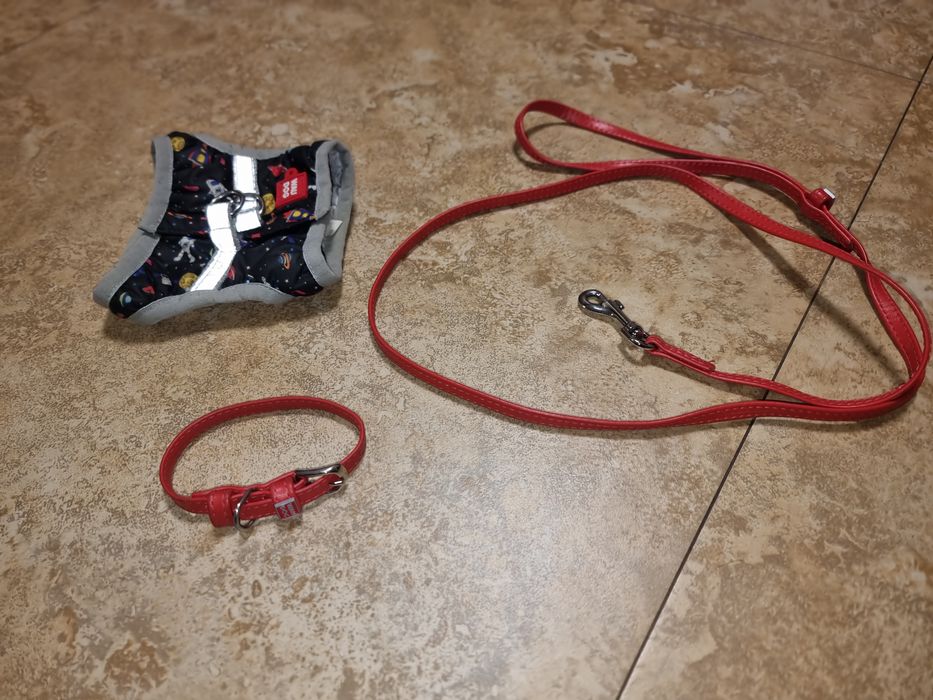 Ошейник + поводок +шлея