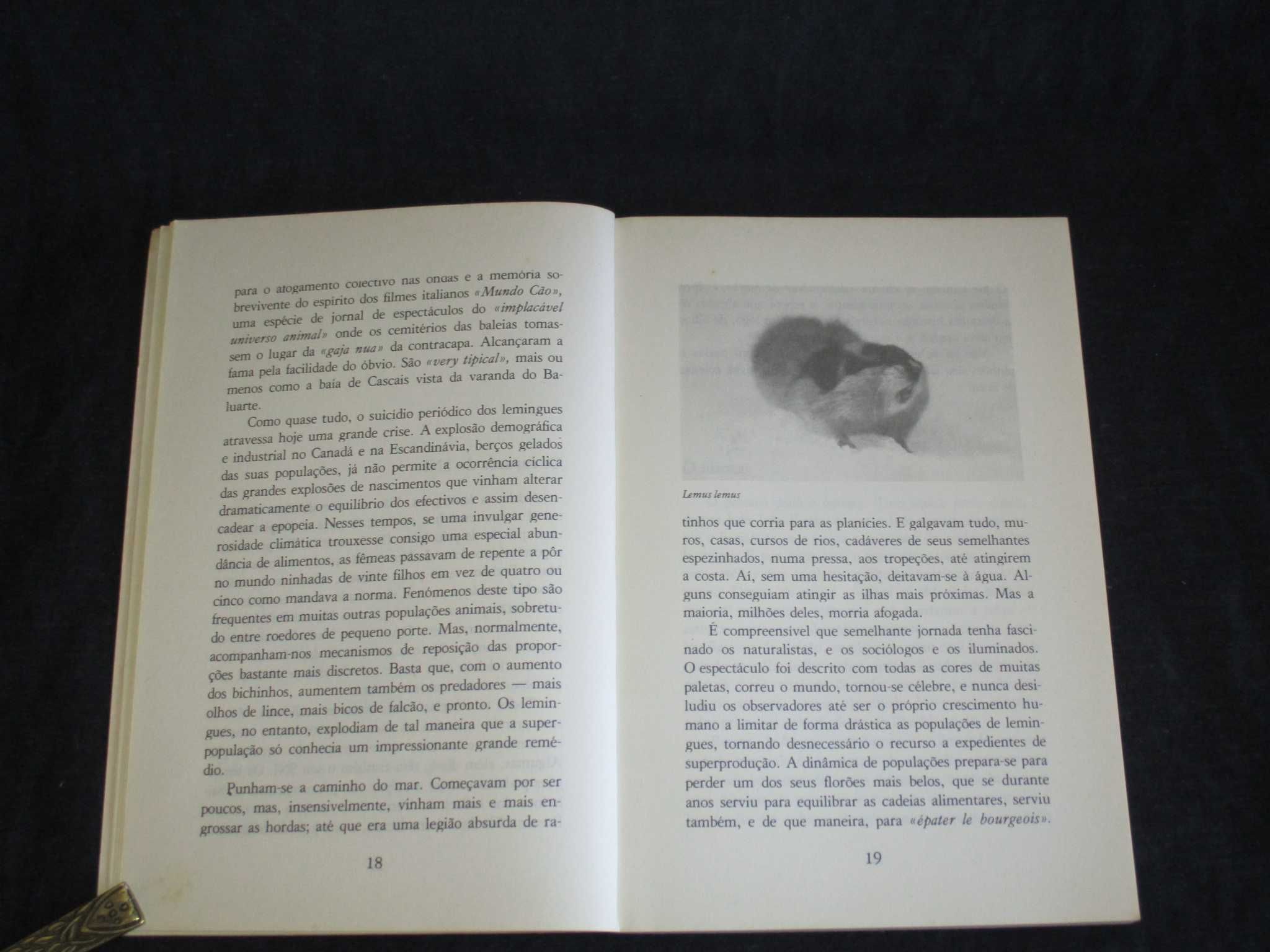 Livro Histórias Naturais Clara Pinto Correia 1ª edição