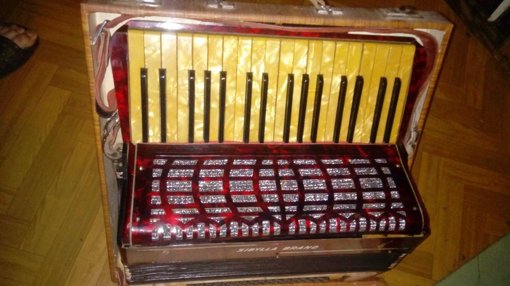 Akordeon sybella brand Sevilla 80 BAS