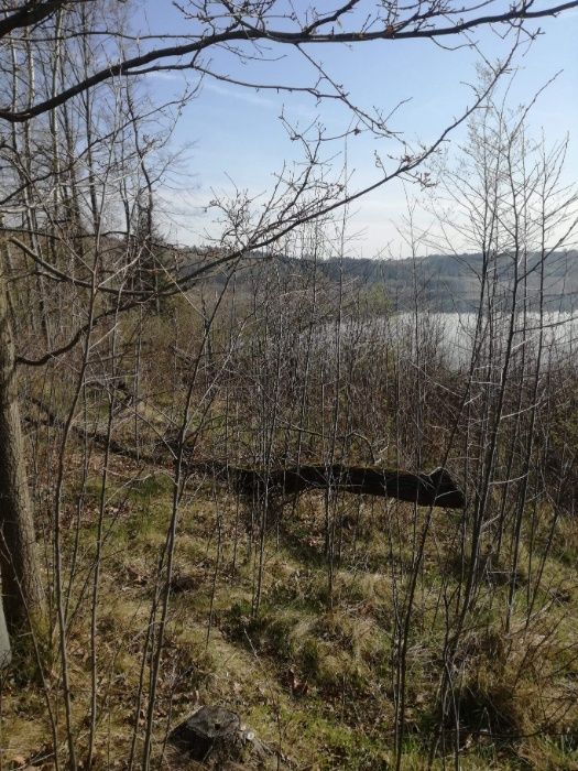 Czyszczenie karczowanie dzialek wycinka pod inwestycje Mulczer leśny