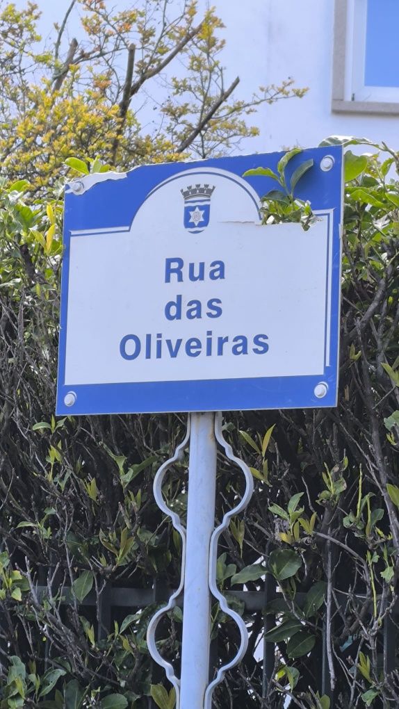 Terreno urbano Covilhã