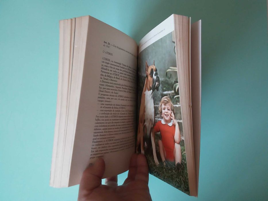 Livro "O Boxer", de Fiorenzo Fiorone