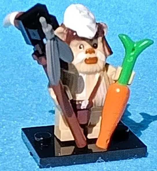 Logray Ewok (Star Wars)