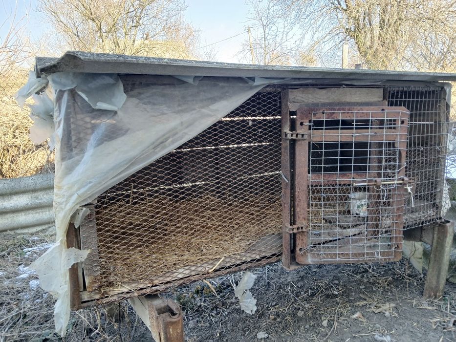 Продам клітки недорого