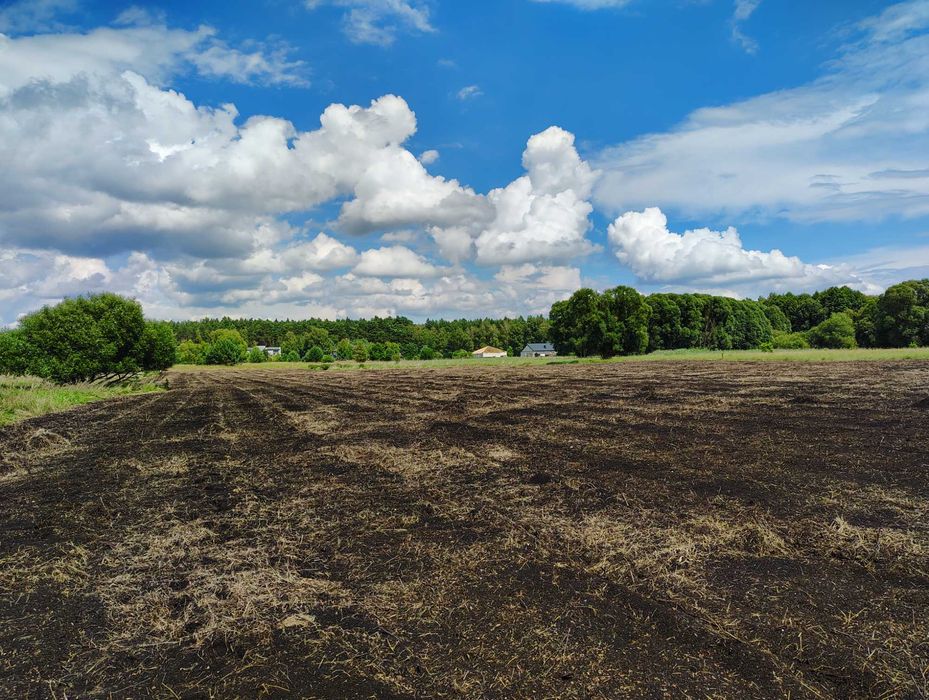 Dzialka z warunkami zabudowy Zamosc/Trzciniec