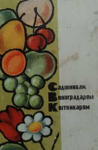 Редкая книжка Приусадебное виноградарство Н.Хилькевич.Из-во"Крым 1966г