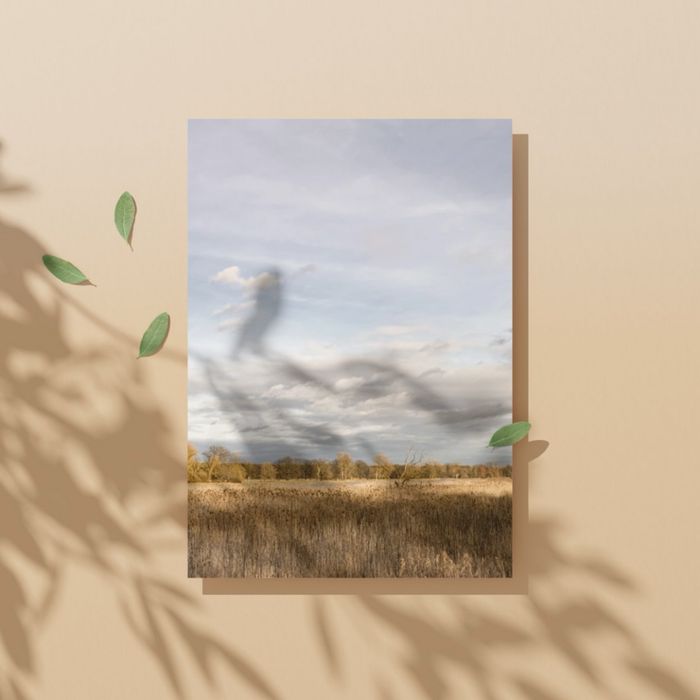2 plakaty, fotografie, krajobraz “Odrzańskie rozlewiska”