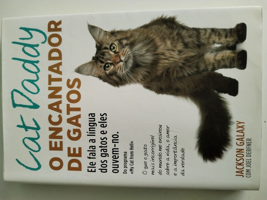 Livro 'Cat Daddy - O Encantador de Gatos'