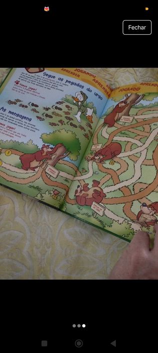 O Mundo Maravilhoso Os Ursos