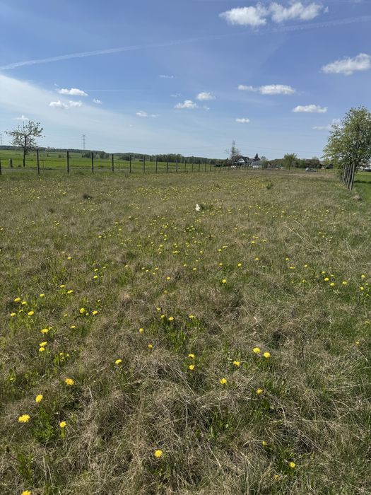 Atrakcyjna działka BOROWSKIE GZIKI z możliwością budowy domu