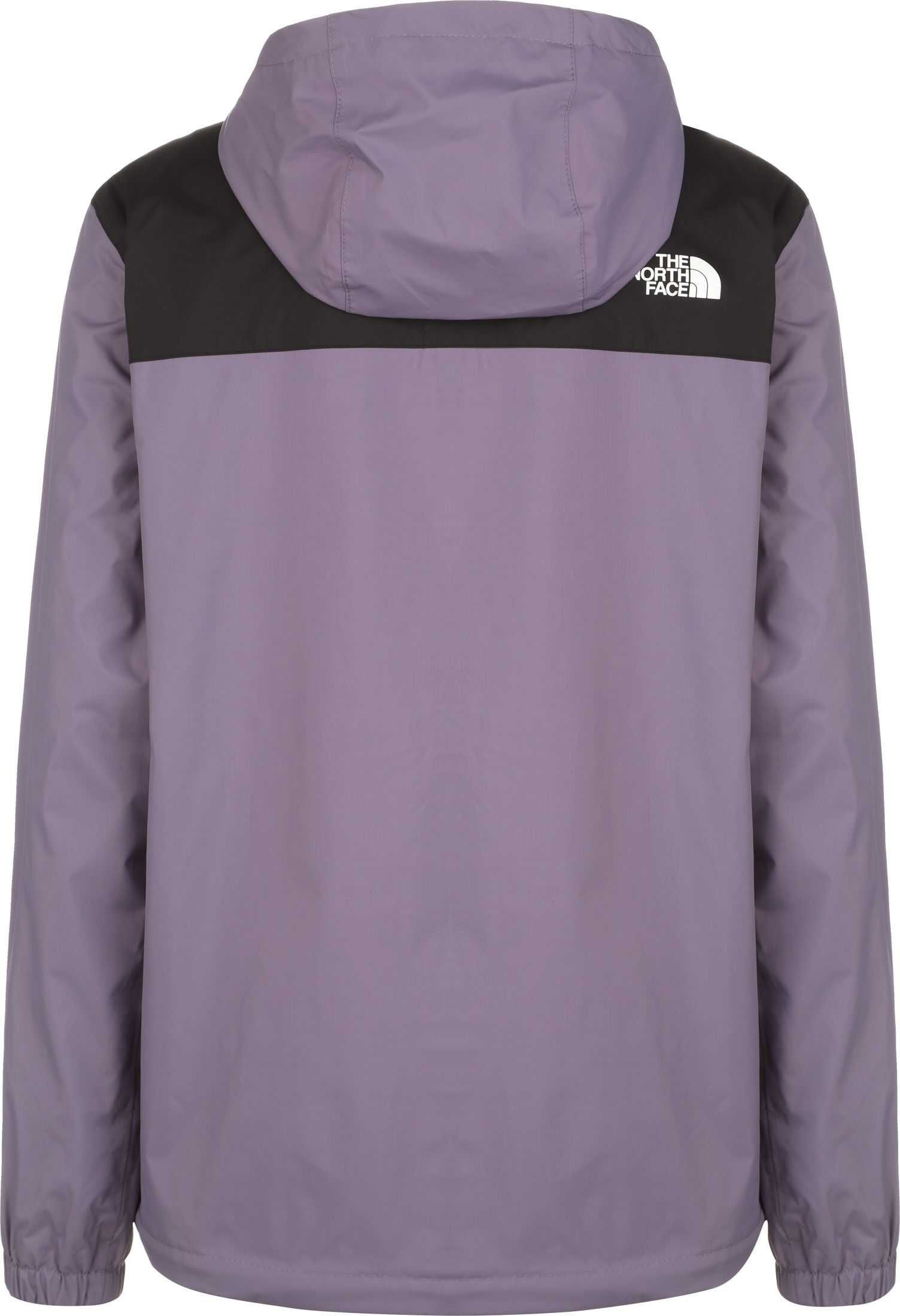 Куртка чоловіча демісезонна THE NORTH FACE