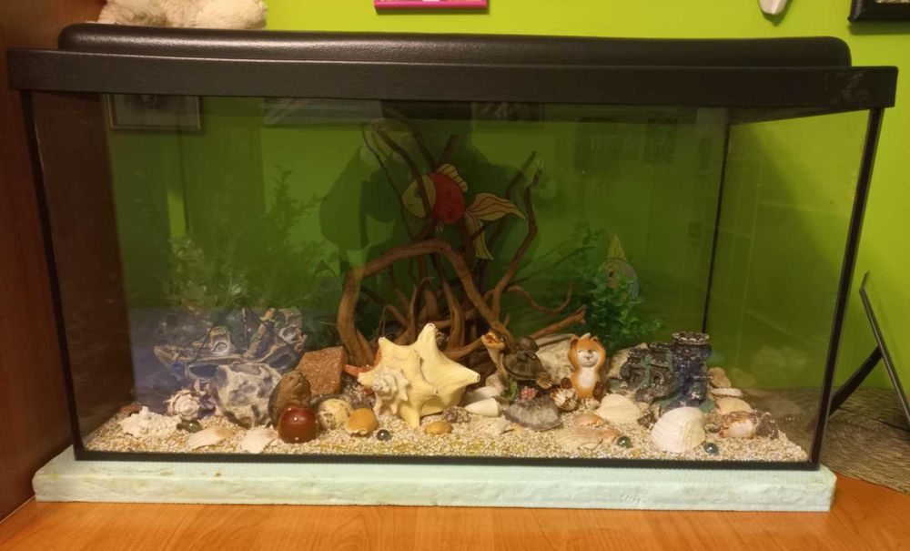 Akwarium na sprzedaż