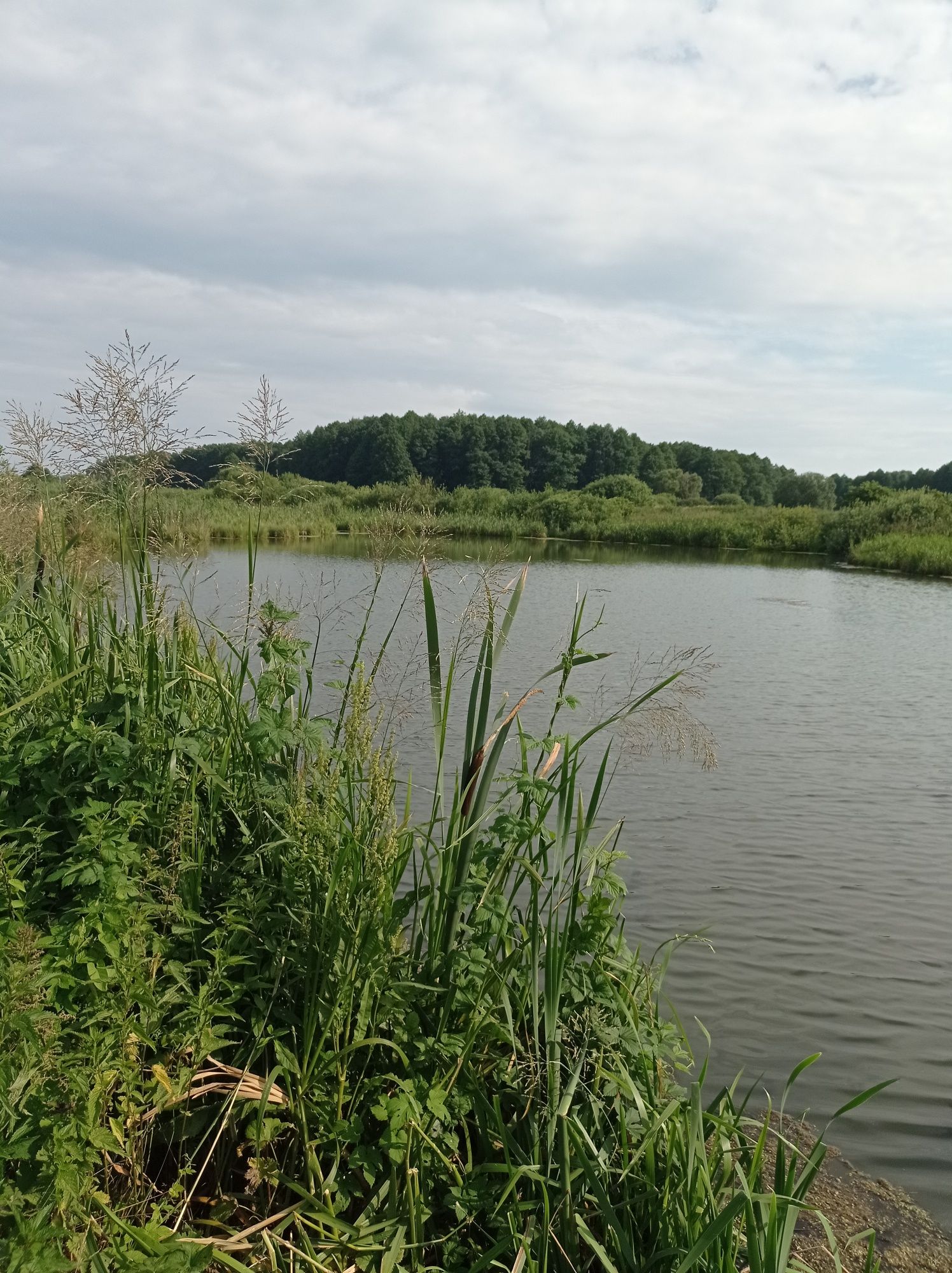 Дом на краю села с видом на луг и реку ДЕСНА.