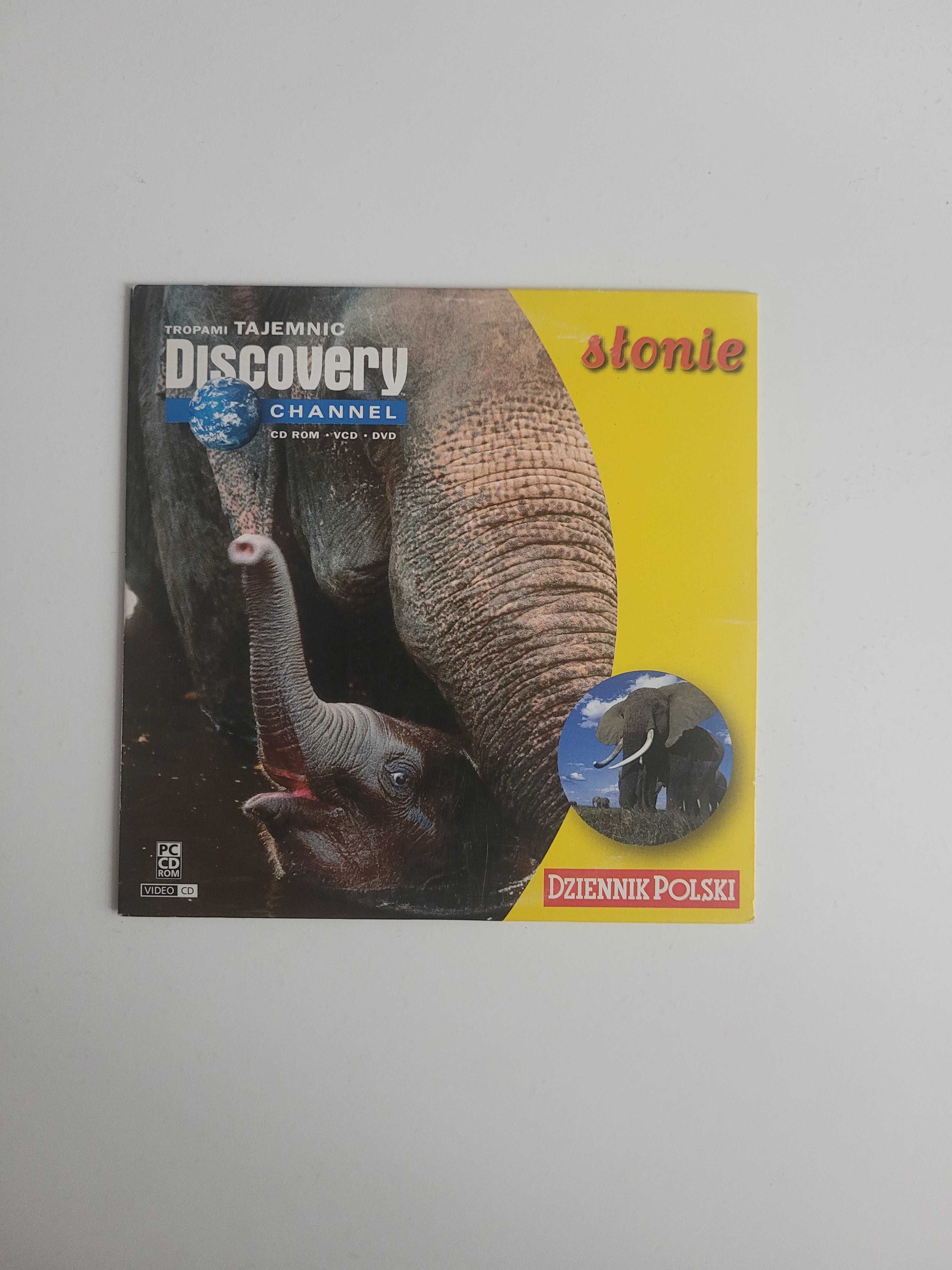 Film DVD Tropami Tajemnic Discovery Słonie Płyta VCD