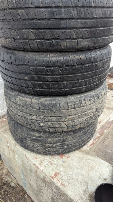 Ovation 205/60r16 всесезоні шини