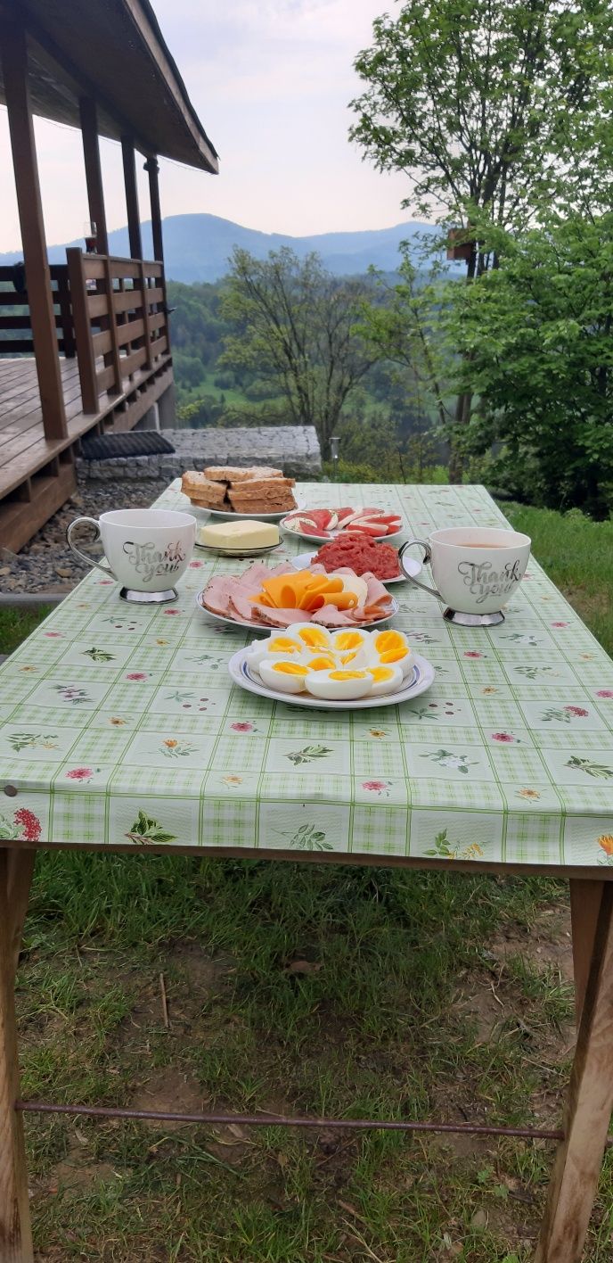 Domek w górach z jakuzzi  na  wynajem