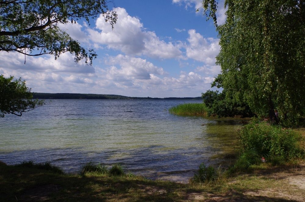 Dom do wynajęcia dla 8 osób. Boszkowo-Letnisko