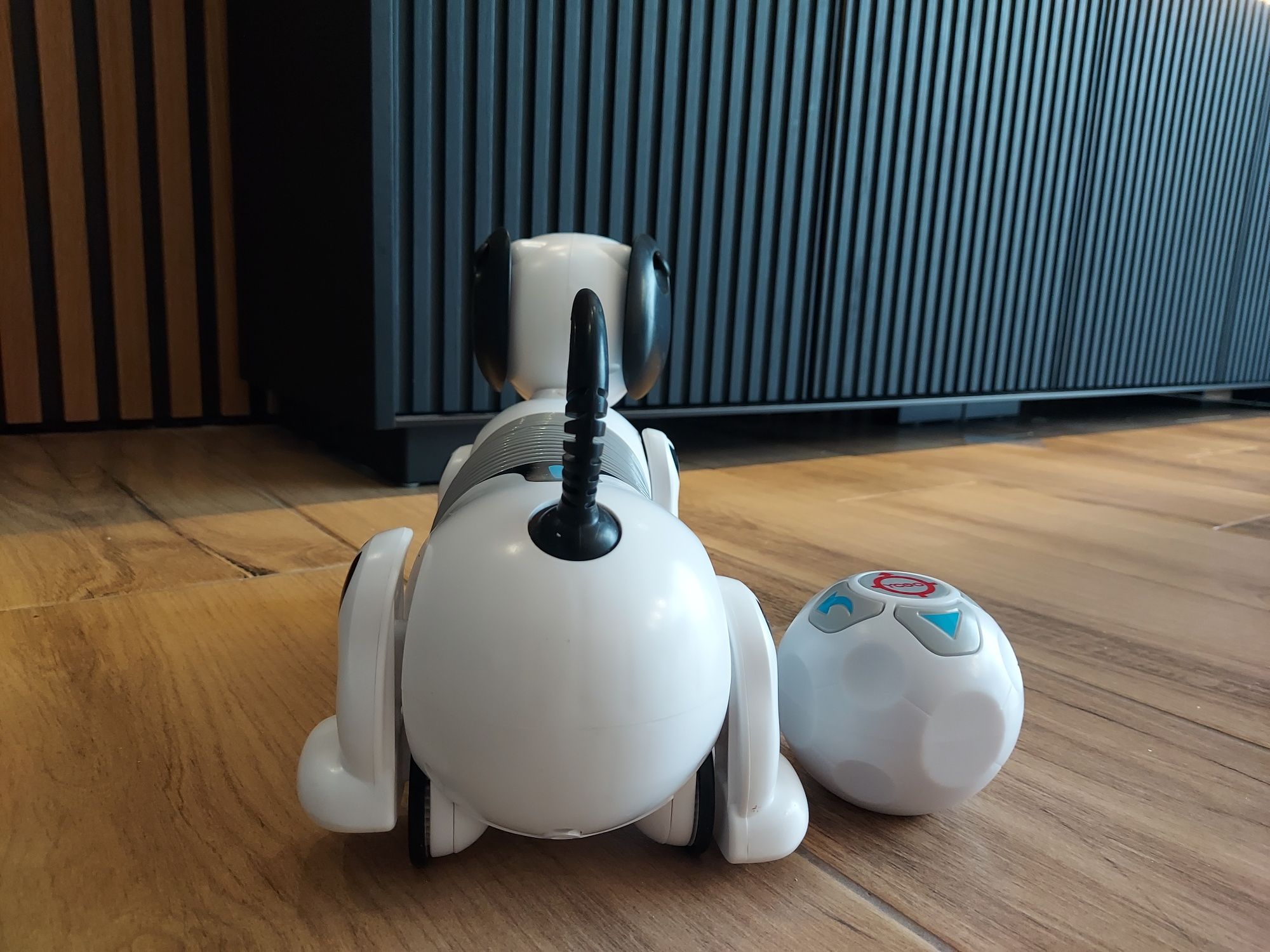 Robot jamnik oryginalny duży Dumel Silverlit