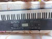 Keyboard Casio CTK-3000