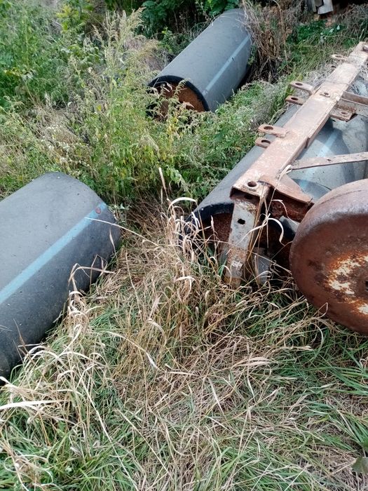 Продаю котки 6м.