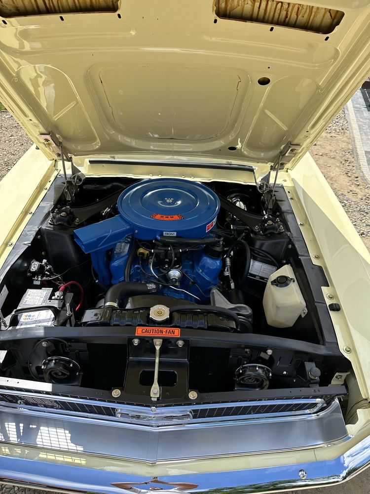 Ford Mustang 4,7L (289).