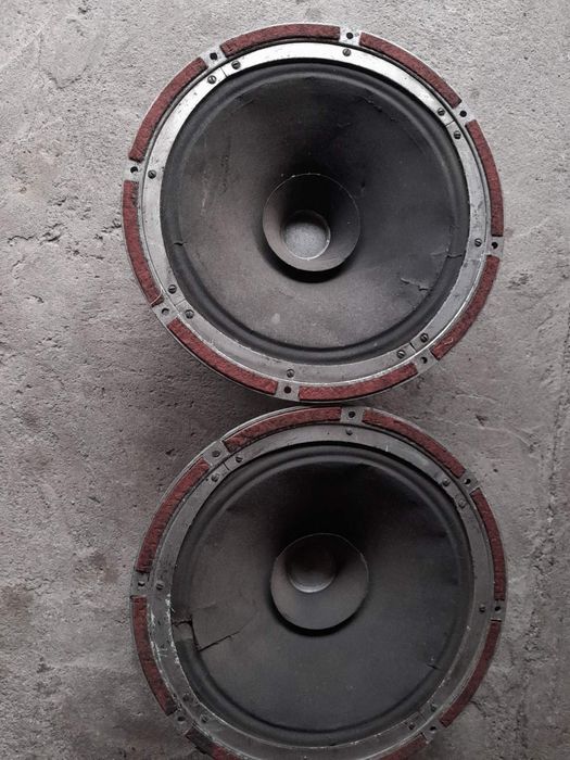 Динамік ГД3030-2штуки +ВЧ 10ГБ 16ОМ