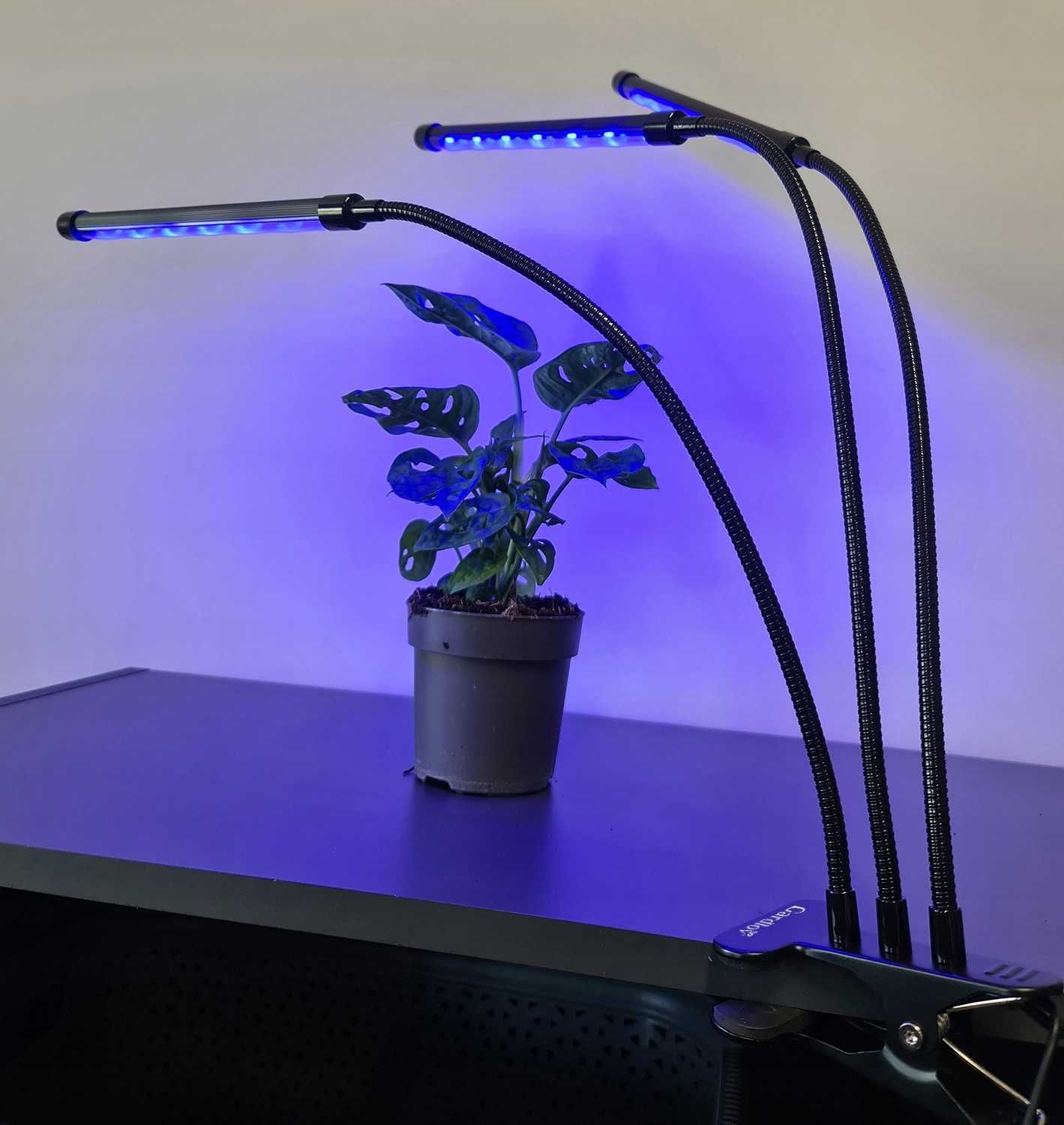 3 x Lampa do Wzrostu Roślin 60 LED Timer + Pilot