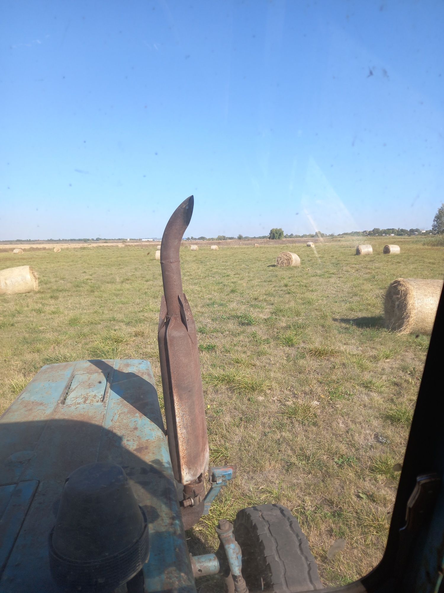 Продам сіно в круглих тюках