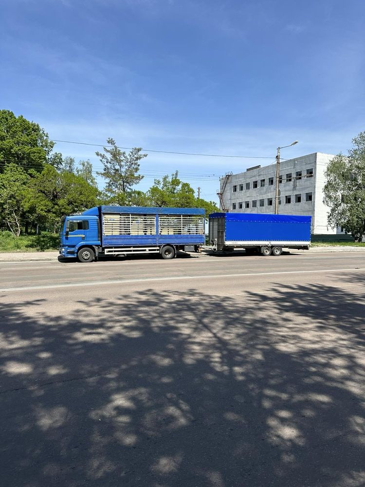 Скотовоз перевозка