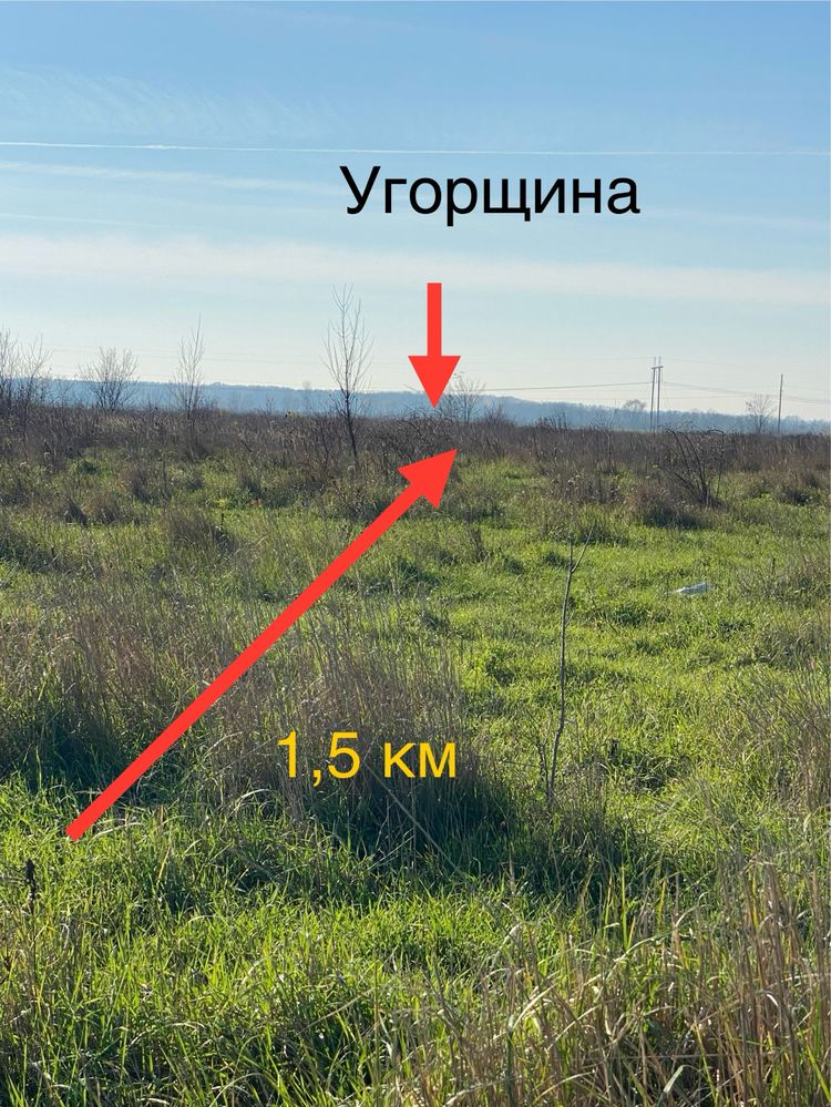 Земельна ділянка Закарпаття ( Берегово) 24 сот. під забудову