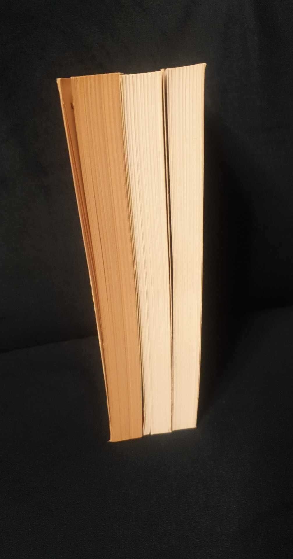Wiedźmin Saga o wiedźminie 3 tomy Andrzej Sapkowski