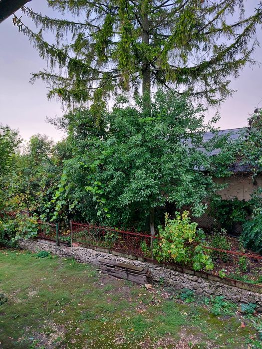 Продається будинок в с. Стриївка.