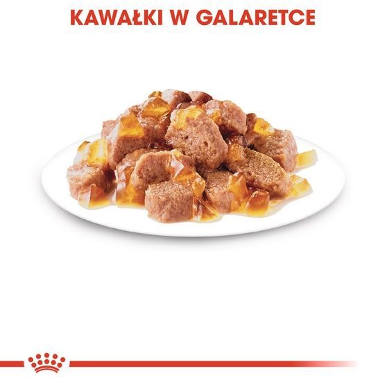 Karma w galaretce dla starszych kotów od 12 roku życia Royal Canin 85g