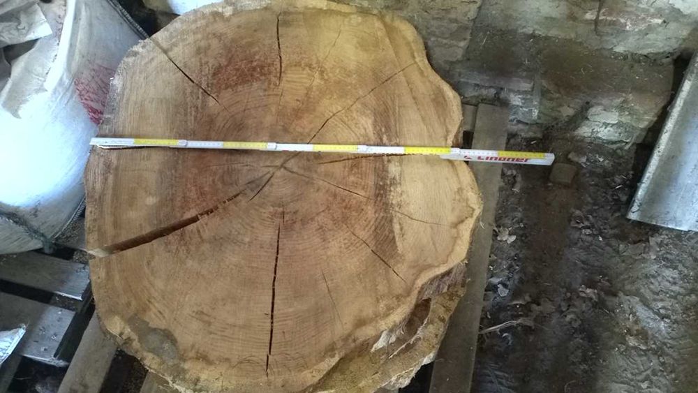 Plastry drewna dębu debu