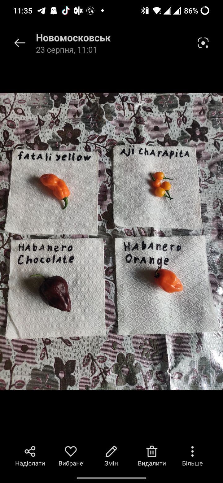 Семена сверх острого перца Habanero chocolate